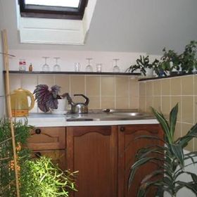 Pension a Restaurace Za rybníkem Toužim