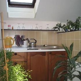 Pension a Restaurace Za rybníkem Toužim