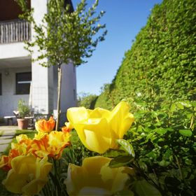 Penzion Lido Mariánské Lázně