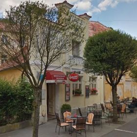 Penzion U Modrého Slona Františkovy Lázně