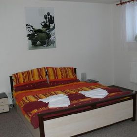 Penzion Továrníkova vila Skuhrov nad Bělou