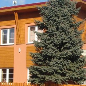 Penzion Na Parní pile Halenkov