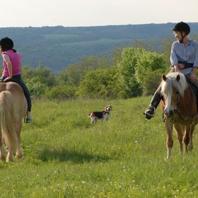 Mecseki Csendidő Vendégházak Bükkösd