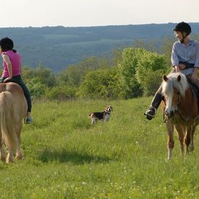 Mecseki Csendidő Vendégházak Bükkösd