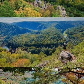 VÁŠ SKLEP - vinný sklep a penzion Nový Šaldorf-Sedlešovice