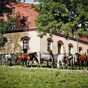 Pension Rothschildův dvůr Bělá