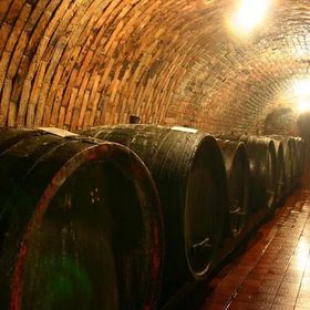 Apartmány nad sklepem Velké Pavlovice