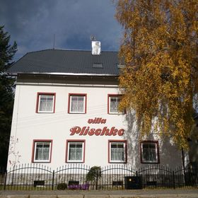 Villa Plischke Lipová-lázně