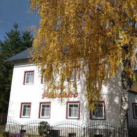 Villa Plischke Lipová-lázně