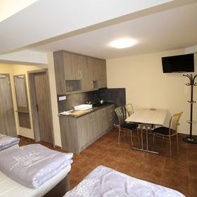 Penzion Borovec Sedlnice