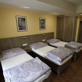 Penzion Borovec Sedlnice