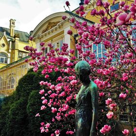 Zámek Světlá nad Sázavou