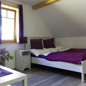 PENZION DELUXE Vysokov