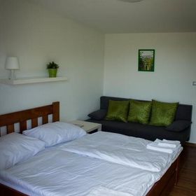 Vinařský penzion Přední Hora Velké Bílovice