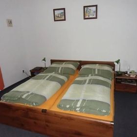 Penzion Pod Zámkem Zruč nad Sázavou