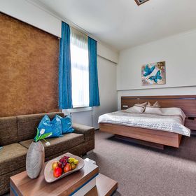 Villa Aurelie Velké Losiny