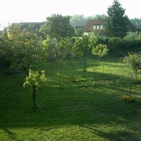 Vila Eliška Druhanov