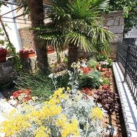 Brnic Apartmani Jadranovo