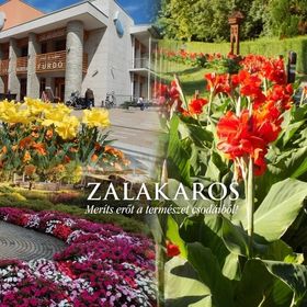 Csöndör Apartman Zalakaros