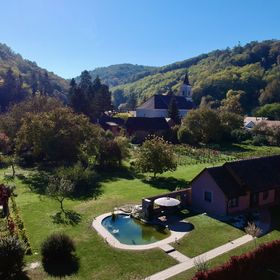 Tulipán Vendégház Kárász