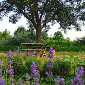 Őr-ség Vendégház Őrség