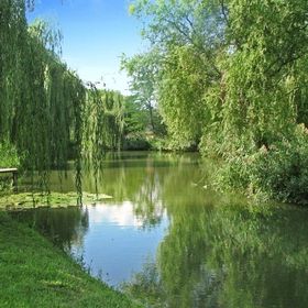 Elvira Vendégház Kisbodak