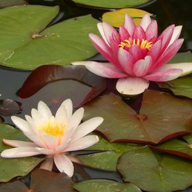 Judit Vendégház Szentbékkálla 