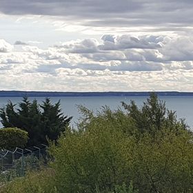 Búzavirág Apartmanház Balatonakali
