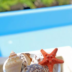 Villa Sea star Babino polje