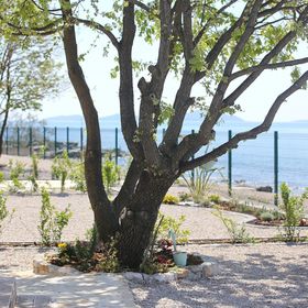 Mobile home Frangipani 3 Biograd