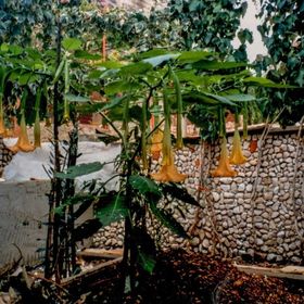 House Vlajčević Okrug Gornji