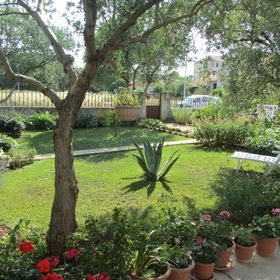 Apartments Mactra Biograd