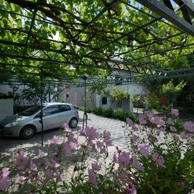 Apartments Miroslava Vodice