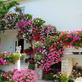 Apartments Rezika Palit