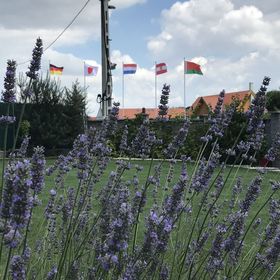 Nyugalom és Titkok Szigete Bagoly Apartman Fertőrákos