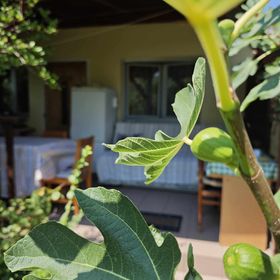 Abigél 2 Apartmanok Zamárdi