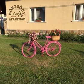 Börzsöny Apartman Kóspallag