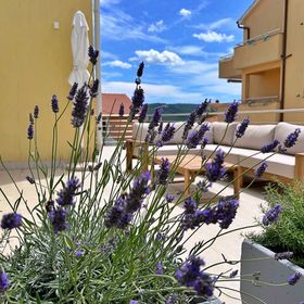 Apartments Pinta de Sol Cizici