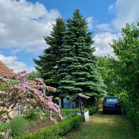 Vizafogó Apartmanok Tiszafüred