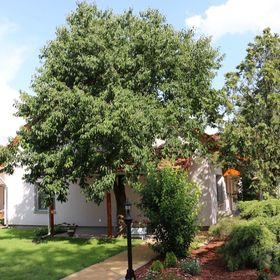 Kamilla Apartmanház Túrkeve