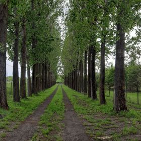Matula Horgász Nyaraló Gyomaendrőd