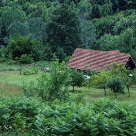 Vacation House Spiritus Flumine Netretić
