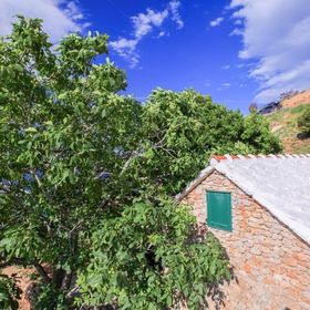 Robinson House Capitano Bol