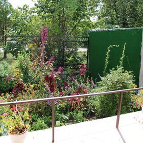 Fenyves Nyaralóház Balatonakali