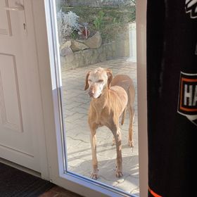 Motoros Barát Apartman Zebegény