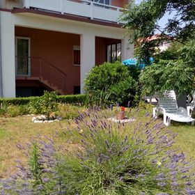 Apartmanok Parkolóhellyel Kampor, Rab - 17886 Kampor