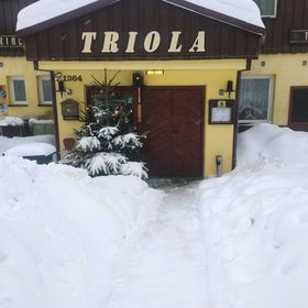 WELLNESS Penzion Triola Kořenov