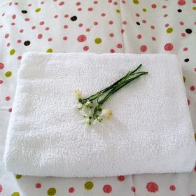 Penzion Páv Kladruby