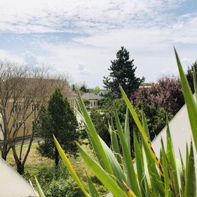 STAY Apartman Balatonboglár