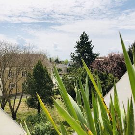 STAY Apartman Balatonboglár